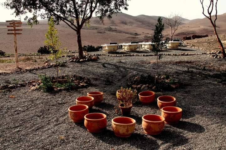Ngayan Camp Hotel Taïzelt Екстериор снимка