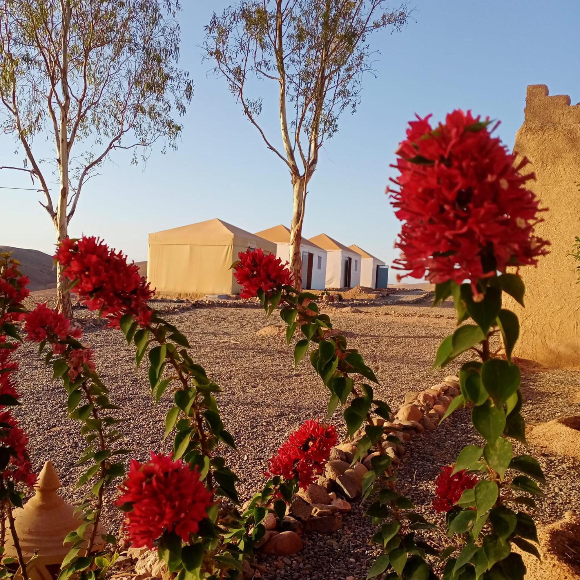 Ngayan Camp Hotel Taïzelt Екстериор снимка